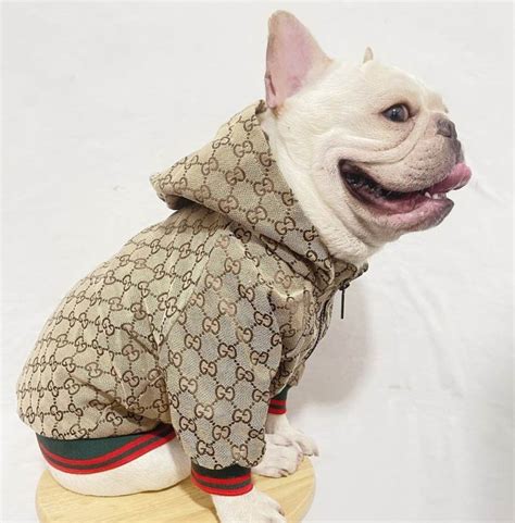 gucci sweater dogs|designer dog coats gucci.